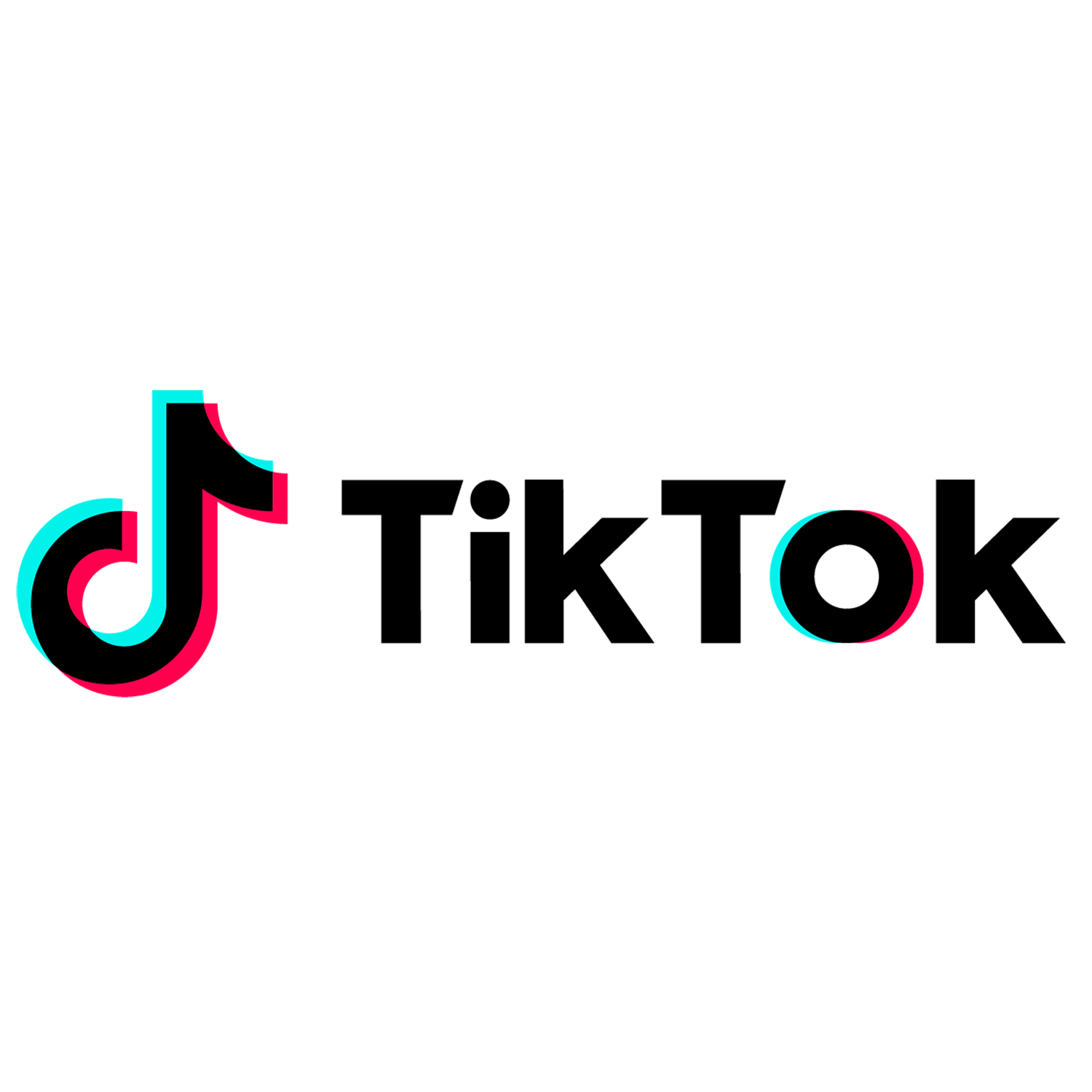 TikTok Partner